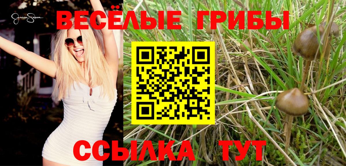 Псилоцибиновые грибы ЛСД Стрежевой
