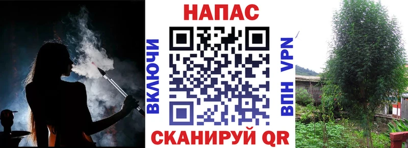 Бошки марихуана сатива OMG ссылки Стрежевой