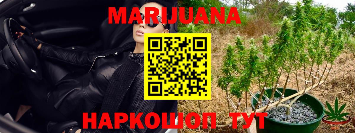 Бошки Шишки тримм Стрежевой